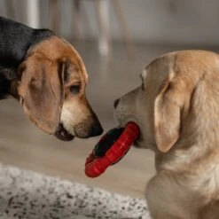 Kauwbot Stuurwiel 2.0 Extra Sterk Melk Geur Smaak En Piep Honden Speelgoed - Kauwspeelgoed Bot Hond - Dutchwide 17 Kauwbot Stuurwiel 2.0 Extra Sterk Melk Geur Smaak En Piep Honden Speelgoed - Kauwspeelgoed Bot Hond - Dutchwide -Hondenbenodigdheden 1200x1200 1930
