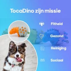 TocaDino - Kauwspeelgoed - Honden - Speelgoed Voor Honden - Reiniging - Dental - Blauw 12 TocaDino - Kauwspeelgoed - Honden - Speelgoed Voor Honden - Reiniging - Dental - Blauw -Hondenbenodigdheden 1200x1200 1954