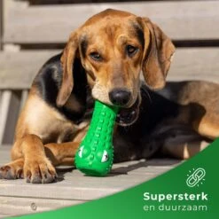 Tandenborstel Hond Melk Geur Smaak En Piep Honden Speelgoed Dog Toy - Krokodil Groen - Dutchwide -Hondenbenodigdheden 1200x1200 1956