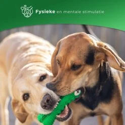 Tandenborstel Hond Melk Geur Smaak En Piep Honden Speelgoed Dog Toy - Krokodil Groen - Dutchwide -Hondenbenodigdheden 1200x1200 1957