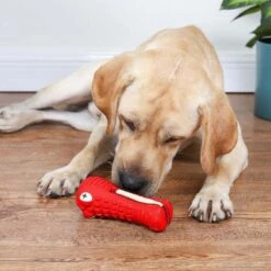 Tandenborstel Hond Melk Geur Smaak En Piep Honden Speelgoed Dog Toy - Krokodil Groen - Dutchwide -Hondenbenodigdheden 1200x1200 1960