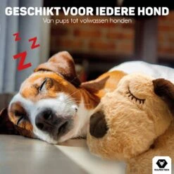 Vulpes Pets® Knuffel Hond Met Hartslag – Puppyknuffel - Hondenknuffel Voor Puppy - Snuggle Puppy - Knuffel Met Hartslag En Gratis Warmte Pad Speciaal Voor Puppy's -Hondenbenodigdheden 1200x1200 1970