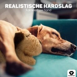 Vulpes Pets® Knuffel Hond Met Hartslag – Puppyknuffel - Hondenknuffel Voor Puppy - Snuggle Puppy - Knuffel Met Hartslag En Gratis Warmte Pad Speciaal Voor Puppy's -Hondenbenodigdheden 1200x1200 1972