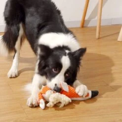 BoDutch Honden Knuffel - Vos - Puppyknuffel - Knisperoortjes - Met Piep - Oranje - 36 Cm - Hondenspeelgoed -Hondenbenodigdheden 1200x1200 1974