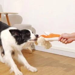 BoDutch Honden Knuffel - Vos - Puppyknuffel - Knisperoortjes - Met Piep - Oranje - 36 Cm - Hondenspeelgoed -Hondenbenodigdheden 1200x1200 1975