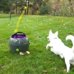 PetSafe Automatische Ballenwerper - Dierenspeelgoed -Hondenbenodigdheden 1200x1200 1991