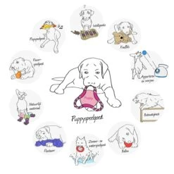 Kong Puppy Goodie Bone Small Small - 1 ST -Hondenbenodigdheden 1200x1200 1995