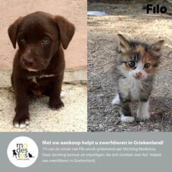 Filo Hondenknuffel Met Hartslag En Warmtebron - Hartslagknuffel Hondenspeelgoed Snuggle Puppy - Knuffel Met Hartslag - Heartbeat Knuffel Hond 18 Filo Hondenknuffel Met Hartslag En Warmtebron - Hartslagknuffel Hondenspeelgoed Snuggle Puppy - Knuffel Met Hartslag - Heartbeat Knuffel Hond -Hondenbenodigdheden 1200x1200 2001