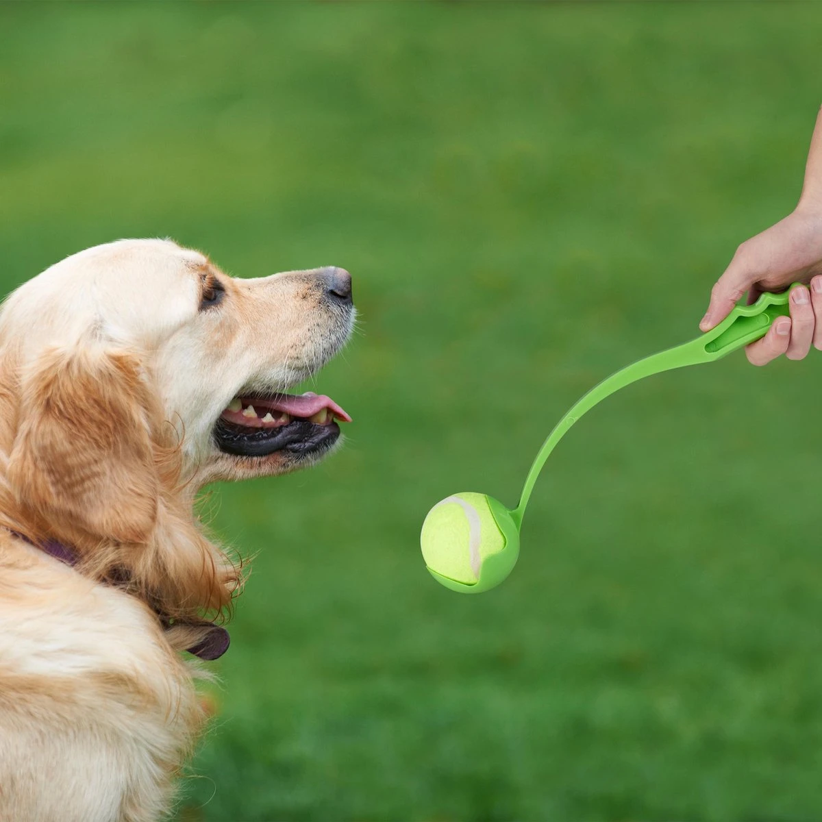 Relaxdays Ballenwerper Voor Honden - 2 Werpstokken + 5 Ballen - Ballengooier - Speelgoed 4 Relaxdays Ballenwerper Voor Honden - 2 Werpstokken + 5 Ballen - Ballengooier - Speelgoed - Afbeelding 2