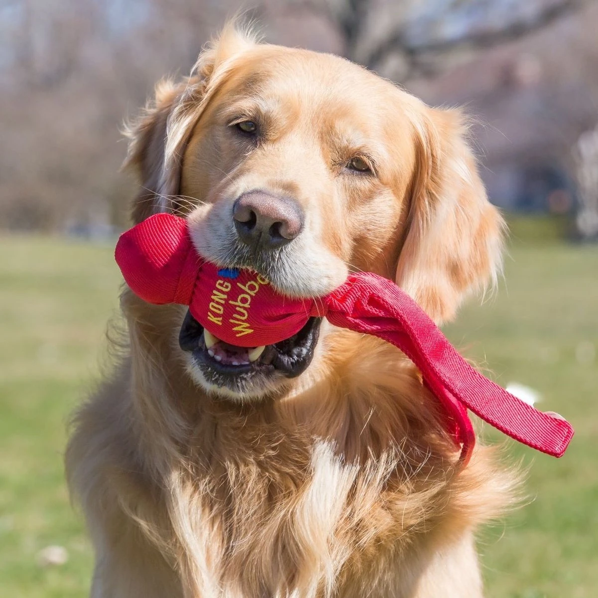 Kong Wubba XL - Piepend Speelgoed - Multi - Hondenspeelgoed - 273 X 151 X 83 Mm 4 Kong Wubba XL - Piepend Speelgoed - Multi - Hondenspeelgoed - 273 X 151 X 83 Mm - Afbeelding 2