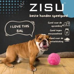 Merkloos Magic Roller Ball – Honden Speelgoed – Kattenspeeltjes - Honden Speeltjes - Kattenspeelgoed - INCLUSIEF BATTERIJ -Hondenbenodigdheden 1200x1200 2030