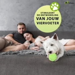 Petloverz Magic Roller Ball – Honden Speelgoed – Premium Automatische Rollende Bal -Hondenbenodigdheden 1200x1200 2044