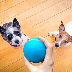 Cheerble Wicked Ball W1| Blauw| Zelf Rollende Bal Voor Honden | 3 Automatische Speelmodi | Interactief En Intelligentie Hondenspeelgoed | Hondenspeeltje| USB Oplaadbaar -Hondenbenodigdheden 1200x1200 2049