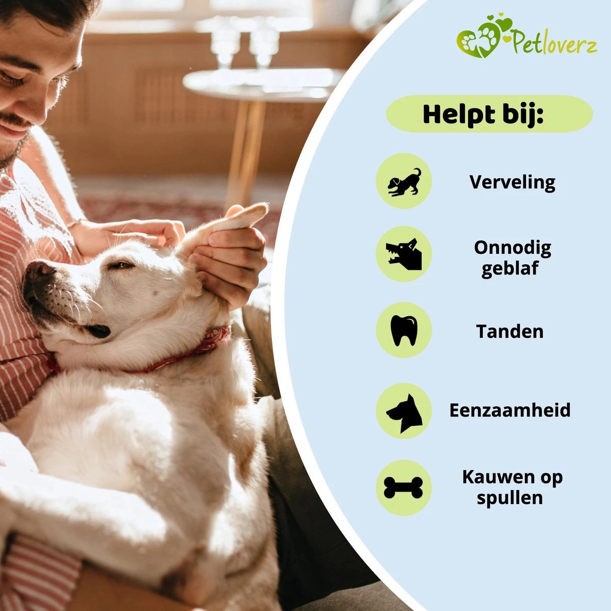 Petloverz Ballen Set - Honden Speelgoed - Intelligentie - Ballen - 6 Stuks 4 Petloverz Ballen Set - Honden Speelgoed - Intelligentie - Ballen - 6 Stuks - Afbeelding 2