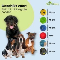 Petloverz Ballen Set - Honden Speelgoed - Intelligentie - Ballen - 6 Stuks 10 Petloverz Ballen Set - Honden Speelgoed - Intelligentie - Ballen - 6 Stuks -Hondenbenodigdheden 1200x1200 2055