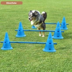 Agility Voor De Hond - Honden Training - Dog Activity - Behendigheid Hond - Parcours 12 Agility Voor De Hond - Honden Training - Dog Activity - Behendigheid Hond - Parcours -Hondenbenodigdheden 1200x1200 2077