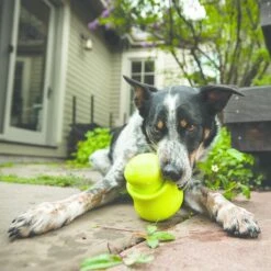 West Paw Toppl Zogoflex - Uitdagend En Sterk Speelgoed Voor Honden - Slowfeeder - Vulbaar Met Voer Of Snacks - Kleur: Groen, Maat: Large -Hondenbenodigdheden 1200x1200 2084