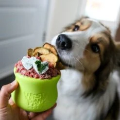 West Paw Toppl Zogoflex - Uitdagend En Sterk Speelgoed Voor Honden - Slowfeeder - Vulbaar Met Voer Of Snacks - Kleur: Groen, Maat: Large -Hondenbenodigdheden 1200x1200 2085