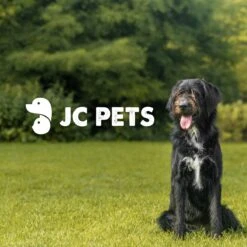 JC Pets Premium Pluizenborstel - Huisdierhaar Verwijderaar – Pluizenverwijderaar – Honden En Kattenhaar Verwijderaar - Ontpluizer - Pluizenroller 16 JC Pets Premium Pluizenborstel - Huisdierhaar Verwijderaar – Pluizenverwijderaar – Honden En Kattenhaar Verwijderaar - Ontpluizer - Pluizenroller -Hondenbenodigdheden 1200x1200 209