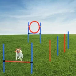 Merkloos Honden Agility Set - 23-delig - Agility Voor De Hond - Agility - Honden Parcours - Honden Training - Rood/Blauw -Hondenbenodigdheden 1200x1200 2090