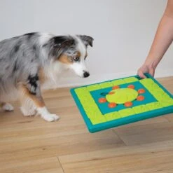 Nina Ottosson Interactieve Hondenpuzzel Vulbaar Met Snacks Voor De Slimste Honden - Outward Hound Multipuzzle -Hondenbenodigdheden 1200x1200 2118