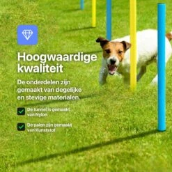 Tavaro Agility Voor De Hond - Honden Training - Hondentunnel - Springhoepel - Horde - Slalom - Honden Behendigheid Trainingsset -Hondenbenodigdheden 1200x1200 2127