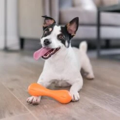 West Paw Zogoflex Hurley - Super Sterk Kauwbot Voor Honden - Kleur: Blauw, Maat: Large -Hondenbenodigdheden 1200x1200 2129