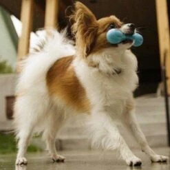 West Paw Zogoflex Hurley - Super Sterk Kauwbot Voor Honden - Kleur: Blauw, Maat: Large -Hondenbenodigdheden 1200x1200 2130