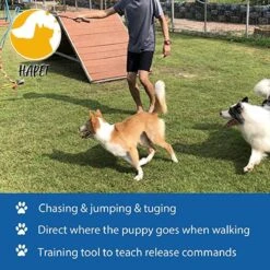 CF Pack - Hond Buitenspeelgoed Actief Behendigheid Touw Dog Flirt Pole Flirtpole Toy Tug Tease Wand Non-Bungee Cord Dog Toy For Fun Obedience Training Extandable Toy Honden Speelgoed Hondenspeelgoed Behendigheidspeelgoed 12 CF Pack - Hond Buitenspeelgoed Actief Behendigheid Touw Dog Flirt Pole Flirtpole Toy Tug Tease Wand Non-Bungee Cord Dog Toy For Fun Obedience Training Extandable Toy Honden Speelgoed Hondenspeelgoed Behendigheidspeelgoed -Hondenbenodigdheden 1200x1200 2141