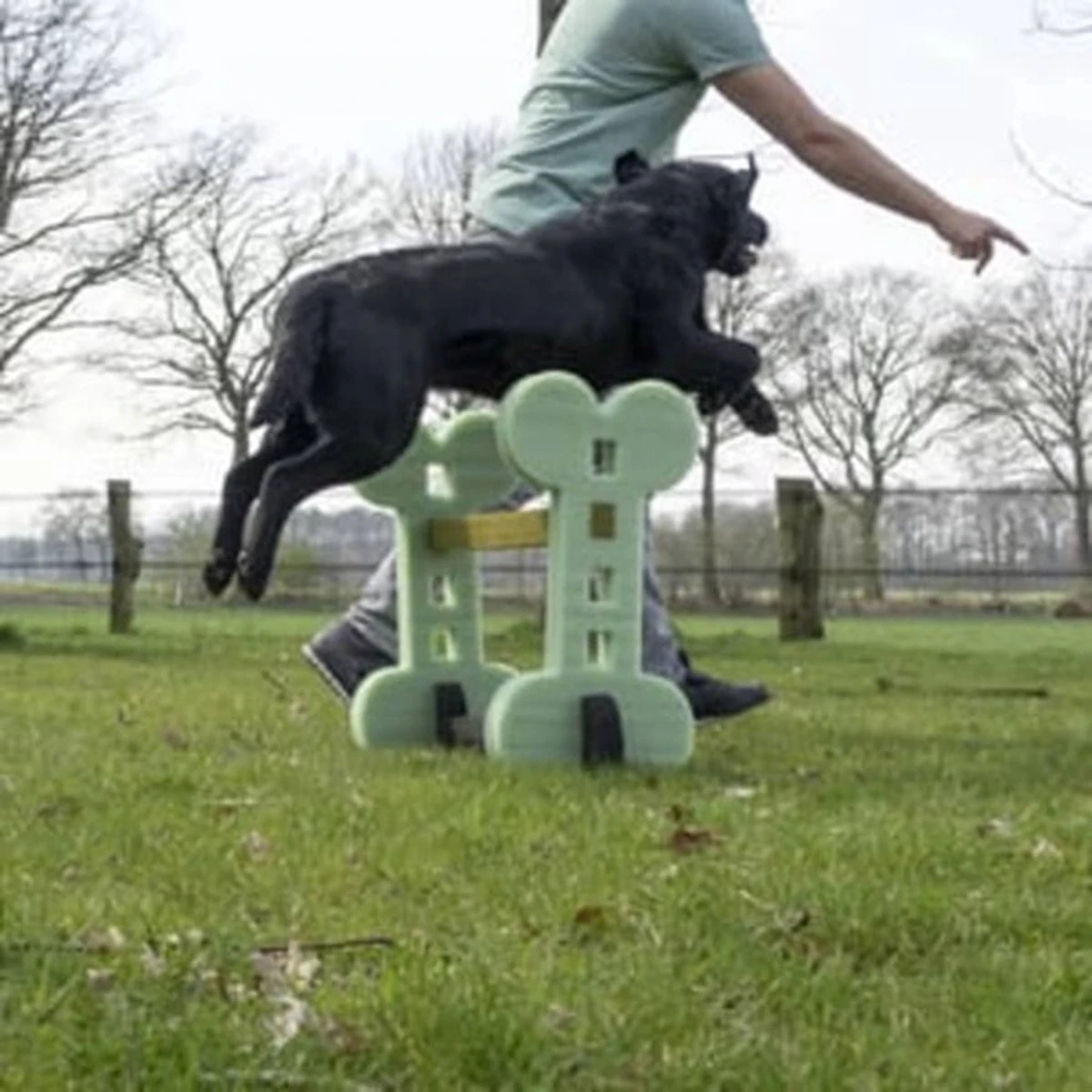 Dog Agility Set Indoor En Outdoor - Honden Trainingsset - 4 Dog Agility Set Indoor En Outdoor - Honden Trainingsset - - Afbeelding 2