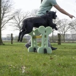 Dog Agility Set Indoor En Outdoor - Honden Trainingsset - 13 Dog Agility Set Indoor En Outdoor - Honden Trainingsset - -Hondenbenodigdheden 1200x1200 2143