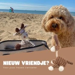 Dutchwide Honden - Knuffel - Met Piep - Extra Sterk - Speelgoed - Pluche - Hondenknuffel - Intelligentie 13 Dutchwide Honden - Knuffel - Met Piep - Extra Sterk - Speelgoed - Pluche - Hondenknuffel - Intelligentie -Hondenbenodigdheden 1200x1200 2177