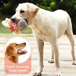 Merkloos Hondenknuffel - Interactief Piepspeelgoed Voor Honden - Teddy - Stoer Hondenkauwspeelgoed - Met Katoenen Materiaal En Gekreukt Papier - Hondenspeelgoed Voor Grote En Kleine Honden -Hondenbenodigdheden 1200x1200 2182