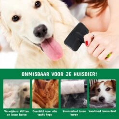 Mister Mill Professionele Set Slicker Honden Kattenborstel Plus Nagelknipper Plus Ondervacht Kam 31 Mister Mill Professionele Set Slicker Honden Kattenborstel Plus Nagelknipper Plus Ondervacht Kam -Hondenbenodigdheden 1200x1200 230