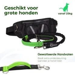 Canicross Looplijn Hond Met Heupriem Voor Hardlopen - Elastische Handsfree Hondenriem - Honden Trainingslijn - 150/200cm - Groen 17 Canicross Looplijn Hond Met Heupriem Voor Hardlopen - Elastische Handsfree Hondenriem - Honden Trainingslijn - 150/200cm - Groen -Hondenbenodigdheden 1200x1200 24