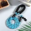 Merkloos Reflecterende Hondenriem - Nylon Hondenlijn – Honden Riem Met Soft Handvat – Blauw – 150CM