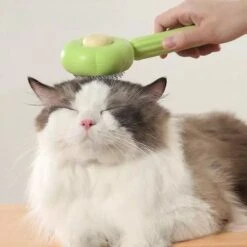 QT Petshop - Haarverwijderaar Voor Huisdieren - Groene Kattenborstel - Furminator Hondenborstel - Anti-Klit - Diervriendelijk - Dierenverzorging -Hondenbenodigdheden 1200x1200 272