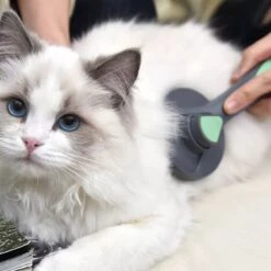 Pakeway Kattenborstel – Hondenborstel – Haarverwijderaar Voor Huisdieren – Kattenkam - Kortharig - Langharig - Inclusief Ebook! -Hondenbenodigdheden 1200x1200 279