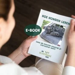 De Blaffende Kat Wasdrogerbollen - Droger Ballen - Huisdier Haarverwijderaar - 4 Wasbollen Voor Wasmachine En Droger -Hondenbenodigdheden 1200x1200 289