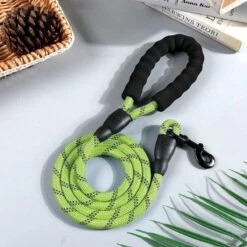 Comfortabele Hondenriem Met Gevoerd Handvat – Stevige Nylon Hondenlijn – Riem Voor Honden -Hondenbenodigdheden 1200x1200 33