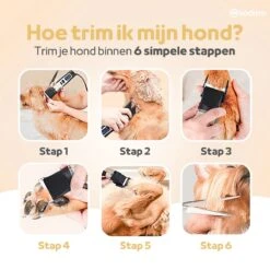 Woodoro Professionele 2-in-1 Hondentondeuse Voor Dikke Vacht – Draadloze Honden Tondeuse & Hondentrimmer – Stille Tondeuse Katten & Honden Trimset 18 Woodoro Professionele 2-in-1 Hondentondeuse Voor Dikke Vacht – Draadloze Honden Tondeuse & Hondentrimmer – Stille Tondeuse Katten & Honden Trimset -Hondenbenodigdheden 1200x1200 359