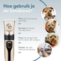 BYER Professionele Dieren Tondeuse Set - Voor Huisdieren Katten & Honden - Draadloos - Oplaadbare Pet Trimmer - Dog Tondeuze Clipper - 5 Standen & Vier Opzetkammen - Low Noise 17 BYER Professionele Dieren Tondeuse Set - Voor Huisdieren Katten & Honden - Draadloos - Oplaadbare Pet Trimmer - Dog Tondeuze Clipper - 5 Standen & Vier Opzetkammen - Low Noise -Hondenbenodigdheden 1200x1200 399