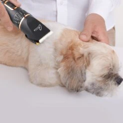 Tjilla Professionele Dieren/honden Tondeuse Set Extra Krachtig - Honden Trimmer - Lang Of Kortharige Huisdieren Katten & Honden - Draadloos - Weinig Geluid 11 Tjilla Professionele Dieren/honden Tondeuse Set Extra Krachtig - Honden Trimmer - Lang Of Kortharige Huisdieren Katten & Honden - Draadloos - Weinig Geluid -Hondenbenodigdheden 1200x1200 427