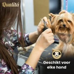 Merkloos Professionele Honden Tondeuse Set - Tondeuse Voor Huisdier Honden En Katten - Hondentrimmer - Hondentondeuse 14 Merkloos Professionele Honden Tondeuse Set - Tondeuse Voor Huisdier Honden En Katten - Hondentrimmer - Hondentondeuse -Hondenbenodigdheden 1200x1200 465