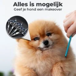 VoordeelShop 7-Delige Huisdier Knipset Met Etui - Trimmen Hond - Honden Schaar - Effileerschaar Hond - Huisdier Trimmer - Huisdier Knippen - Knipschaar Haar - Haar Schaar - Kapper - Kapperset - Scharenset -Hondenbenodigdheden 1200x1200 469