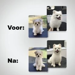 VoordeelShop 7-Delige Huisdier Knipset Met Etui - Trimmen Hond - Honden Schaar - Effileerschaar Hond - Huisdier Trimmer - Huisdier Knippen - Knipschaar Haar - Haar Schaar - Kapper - Kapperset - Scharenset -Hondenbenodigdheden 1200x1200 474