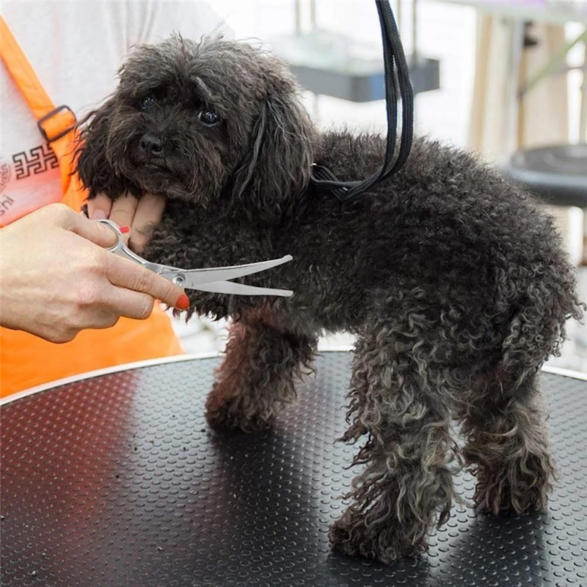 Merkloos Premium Gebogen Trimschaar Honden - Huisdier Trimmen - Hoofd, Poten Ogen & Oren - Kat & Hond Knippen - Veilige Schaar 5 Merkloos Premium Gebogen Trimschaar Honden - Huisdier Trimmen - Hoofd, Poten Ogen & Oren - Kat & Hond Knippen - Veilige Schaar - Afbeelding 3