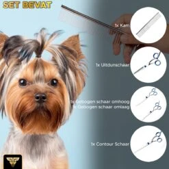 Toivo Schaar Voor Dieren - Zilver - Effileerscharen - Honden Scharenset - Dierenschaar - Set 5 Stuks - Trimscharen - Trimset - Uitdunschaar Hond - Schaar Honden 16 Toivo Schaar Voor Dieren - Zilver - Effileerscharen - Honden Scharenset - Dierenschaar - Set 5 Stuks - Trimscharen - Trimset - Uitdunschaar Hond - Schaar Honden -Hondenbenodigdheden 1200x1200 483