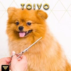 Toivo Schaar Voor Dieren - Zilver - Effileerscharen - Honden Scharenset - Dierenschaar - Set 5 Stuks - Trimscharen - Trimset - Uitdunschaar Hond - Schaar Honden 17 Toivo Schaar Voor Dieren - Zilver - Effileerscharen - Honden Scharenset - Dierenschaar - Set 5 Stuks - Trimscharen - Trimset - Uitdunschaar Hond - Schaar Honden -Hondenbenodigdheden 1200x1200 484