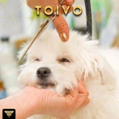 Toivo Schaar Voor Dieren - Zilver - Effileerscharen - Honden Scharenset - Dierenschaar - Set 5 Stuks - Trimscharen - Trimset - Uitdunschaar Hond - Schaar Honden 18 Toivo Schaar Voor Dieren - Zilver - Effileerscharen - Honden Scharenset - Dierenschaar - Set 5 Stuks - Trimscharen - Trimset - Uitdunschaar Hond - Schaar Honden -Hondenbenodigdheden 1200x1200 485